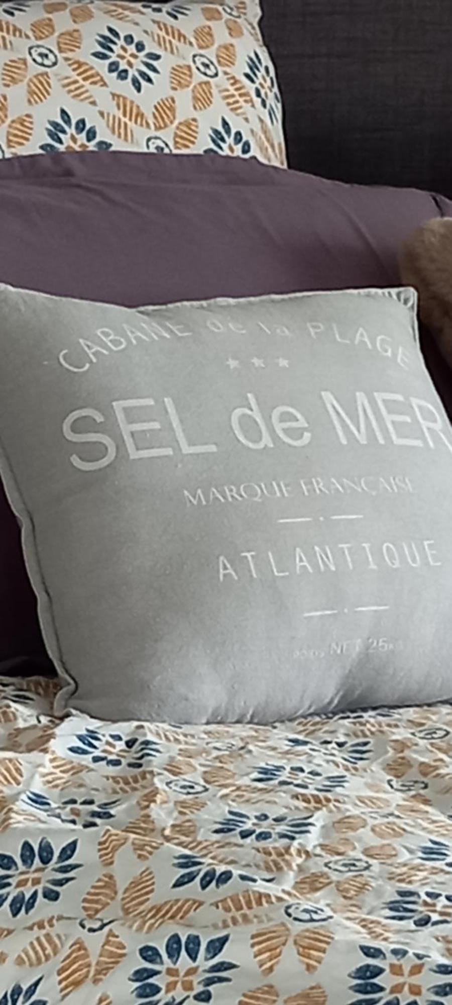 Bed and Breakfast La Mesonnetta Soulignonne Экстерьер фото